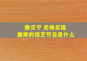 撒贝宁 尼格买提 康辉的综艺节目是什么